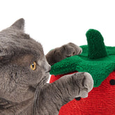 Cào Móng Mèo FOFOS Hình Trái Dâu 35x30cm